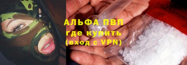 спиды Аркадак