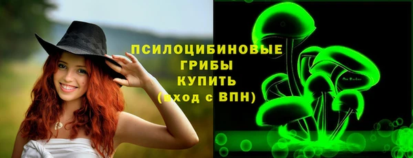 спиды Аркадак