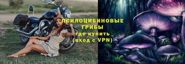 тгк Арсеньев