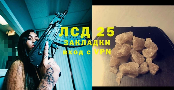 спиды Аркадак