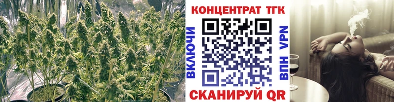 дарк нет формула  где продают   Георгиевск  ТГК гашишное масло 