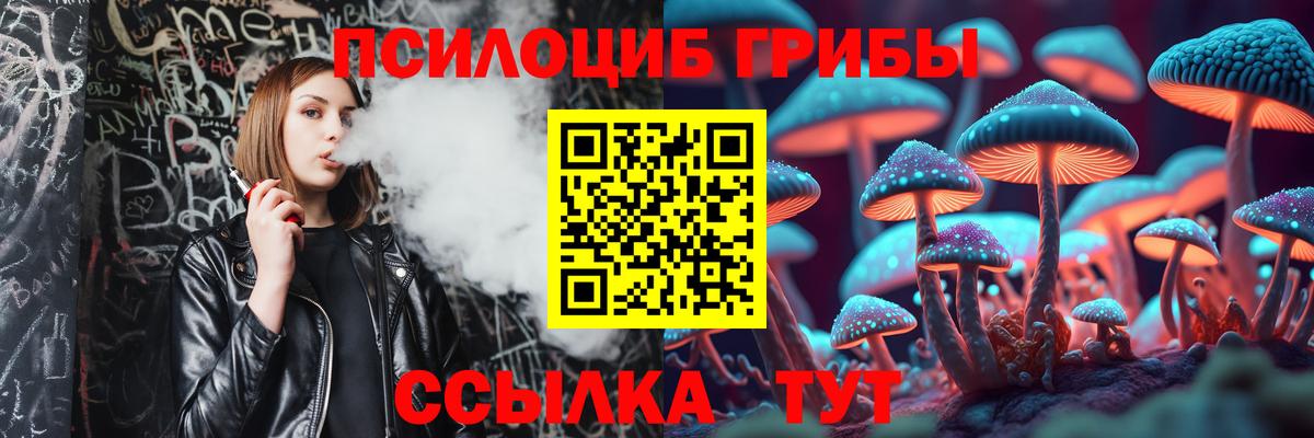 Псилоцибиновые грибы мицелий  Галлюциногенные грибы Psilocybe  Вход с VPN  Георгиевск 