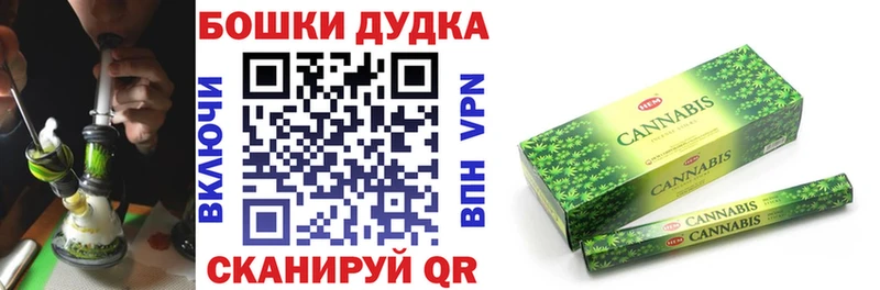 Каннабис сатива Георгиевск